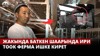 Тажик тараптын кол салуусунда күйүп кеткен тоок ферма калыбына келтирилүүдө