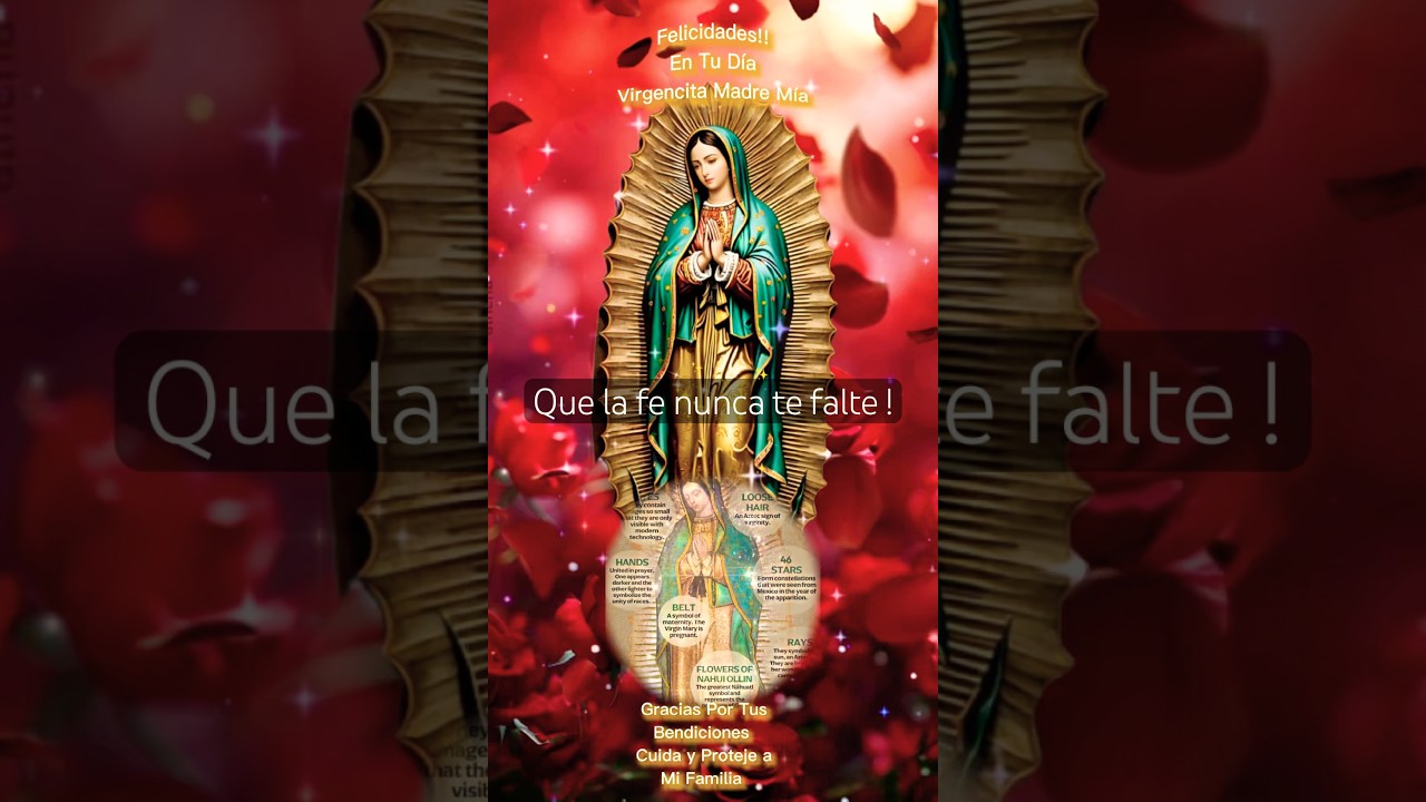 #virgendeguadalupe #metas2026 #decretoprosperidad #love