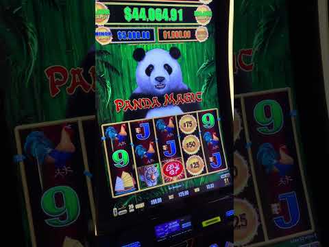 Wow Vegas casino gate of Olympus 1000!!! he shot a 100x