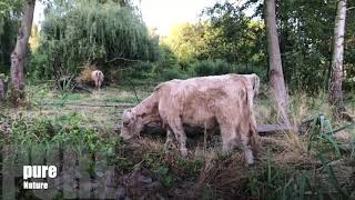 Supcenter.berlin Sup Tour Klein Venedig Berlin Spandau