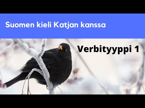 Verbityyppi 1 ja harjoitus | Suomen kieli Katjan kanssa