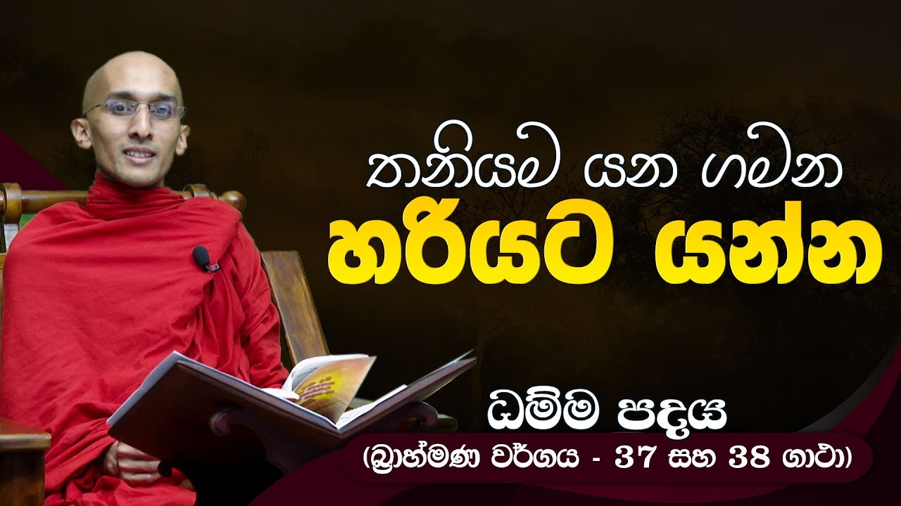 111) තනියම යන ගමන 