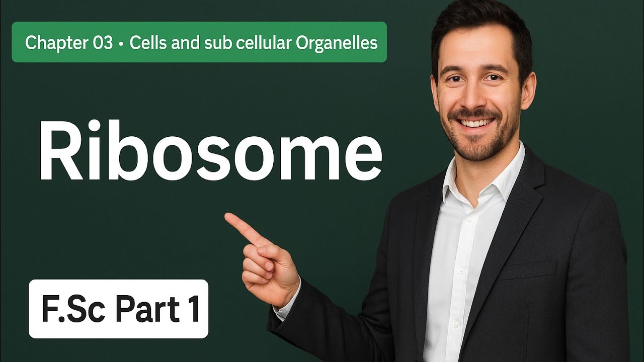 Ribosomes | Chapter 3 | Cells and sub cellular Organelles | F.Sc Part 1 