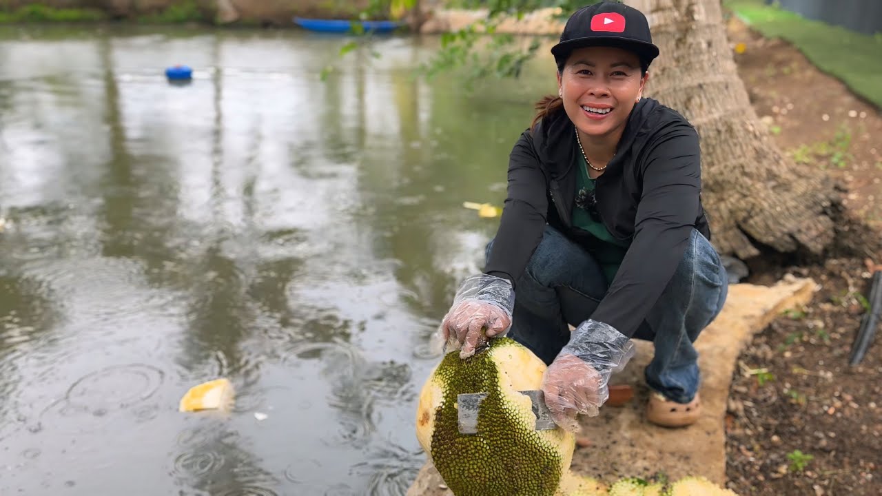 CÁCH XẺ MÍT KHÔNG BỊ MỦ ĐƠN GIẢN MÀ GIỜ MỚI BIẾT