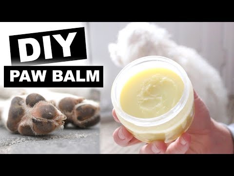 easiest-diy-dog-paw-balm-wax-tutorial-|-jenelle-nicole