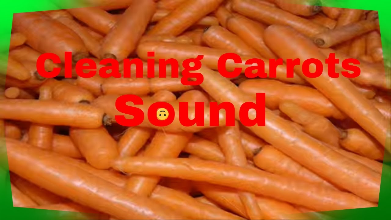 Cleaning Carrots Sound / Sound Effect / Audio YouTube