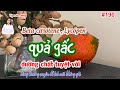 #190. Quả gấc - cùng ăn cùng khỏe