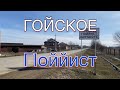 Гойское