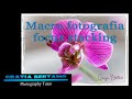 Macro fotografia e focus stacking.