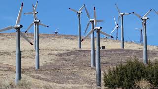 Massive Wind Farm in Tehachapi, California: Revisited 2021