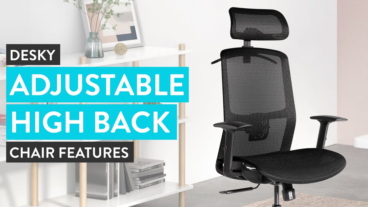 7 Best Ergonomic Office Chairs For Back Pain - Desky USA