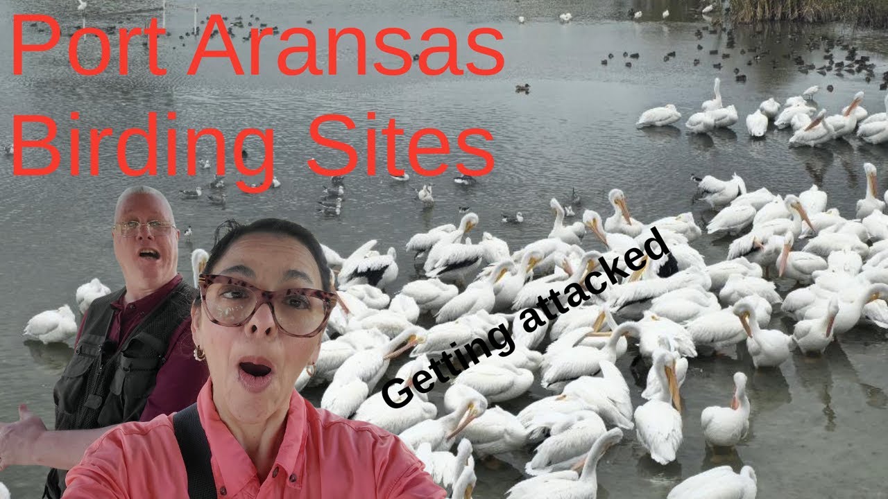 5 Amazing SIGHTS to Discover at Leonabelle Turnbull Birding Center