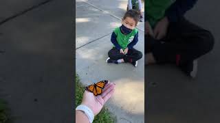 Butterfly Release Kindergarten