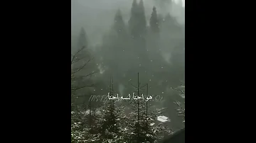 اليسا فاكر يا حبيبي فيوم حالات واتس حزينه ستورياات انستا قصيرة 
