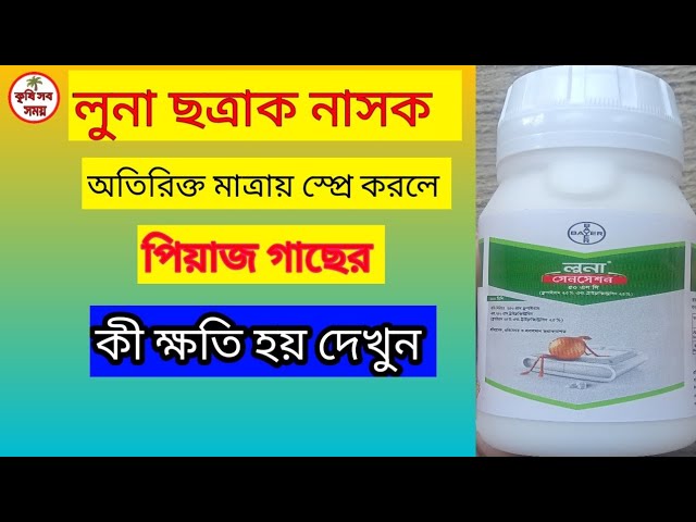 Semiz ayolning anusini yalash (foto) Jinsiy olatni sorish foto