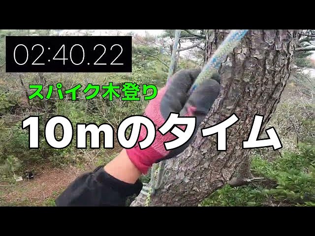 10m木登り】スパイクで10m.何秒で登れるかやってみた 【作業クオリティ