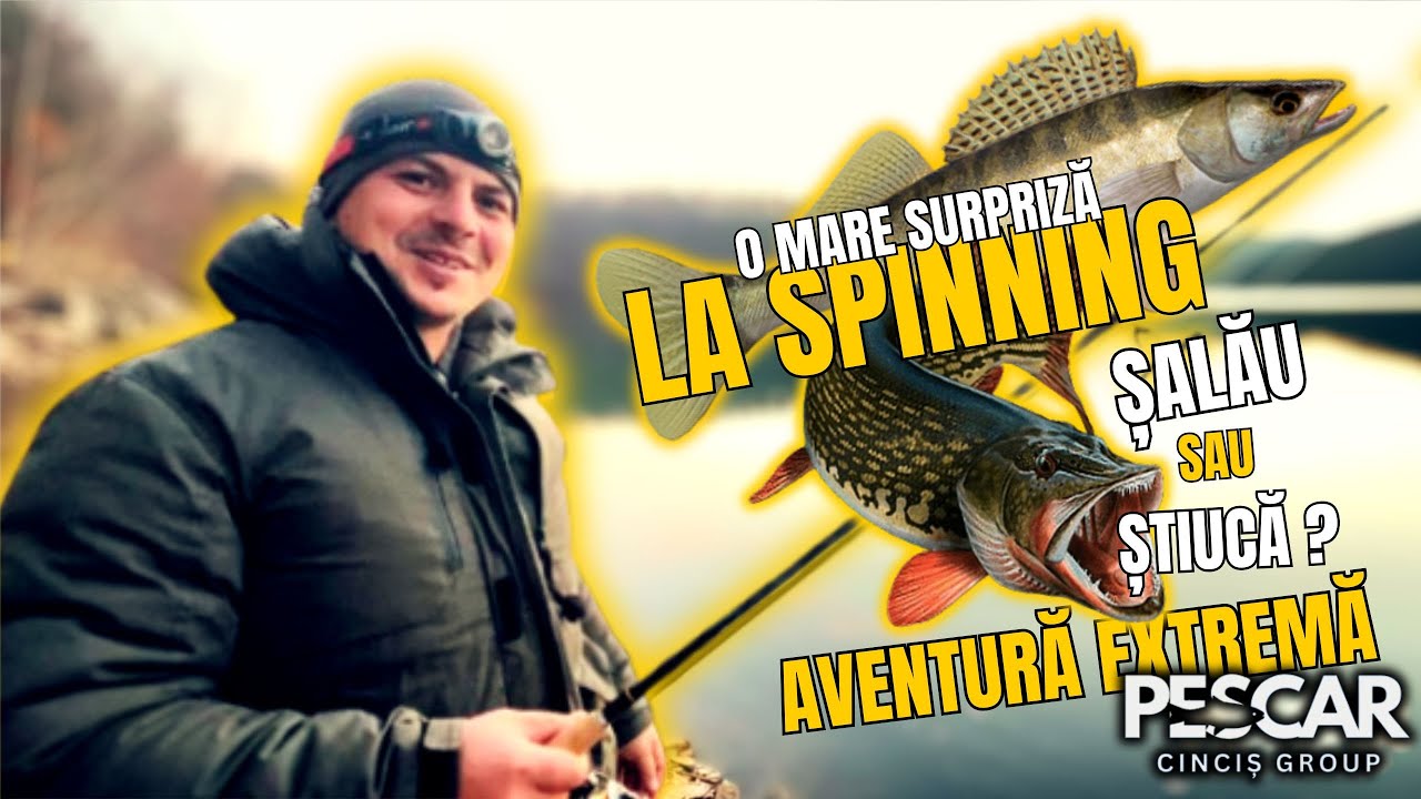 Șalău sau Știucă la Spinning? Aventură Extremă și O mare Surpriză cu Răpitorii din Lacul Cincis!