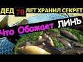 ТАЙНАЯ НАСАДКА НА ЛИНЯ  Рыбалка на линя  Как поймать линя  Линь на поплавок