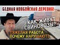 Бедная КОВБОЙСКАЯ деревня в США! ТЯЖЕЛАЯ РАБОТА СВИНОВОЗОВ! Почему они нарушают законы? Еда в траке