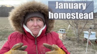 Missouri Homestead : One Year on Our Farm : January by Lorella - Plan Bee Orchard and Farm 4,326 views 1 year ago 13 minutes, 40 seconds