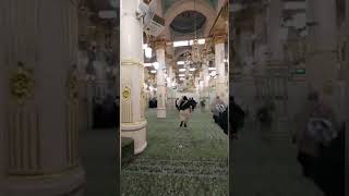 Riaz Ul Jannah From Women Sidemadina shorts youtubeshorts