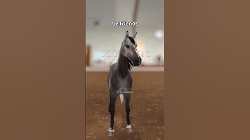 8 new star coin codes, new horses & western festival this month! #shorts #starstable #gaming #horse