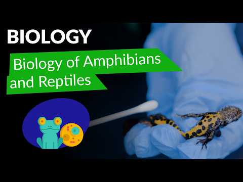 Biology: Biology of Amphibians and Reptiles [Faculty of Biology Jagiellonian University]