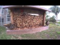 Heirarchy and Survival at the Bird Feeder Heirarchy and Survival at the Bird Feeder