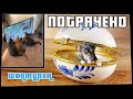 ПОТРАЧЕНО. Шкатулка. Лучшие приколы 2021, смешные видео и фейлы