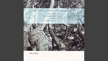 Introduction, theme and variations for clarinet and piano op. posth.