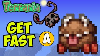 Terraria How To Get Chester & Eye Bone & Bone Helmet Easy