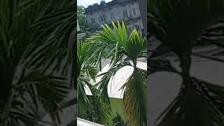 Voltas 1 ton split AC inverter model problem E6 error
