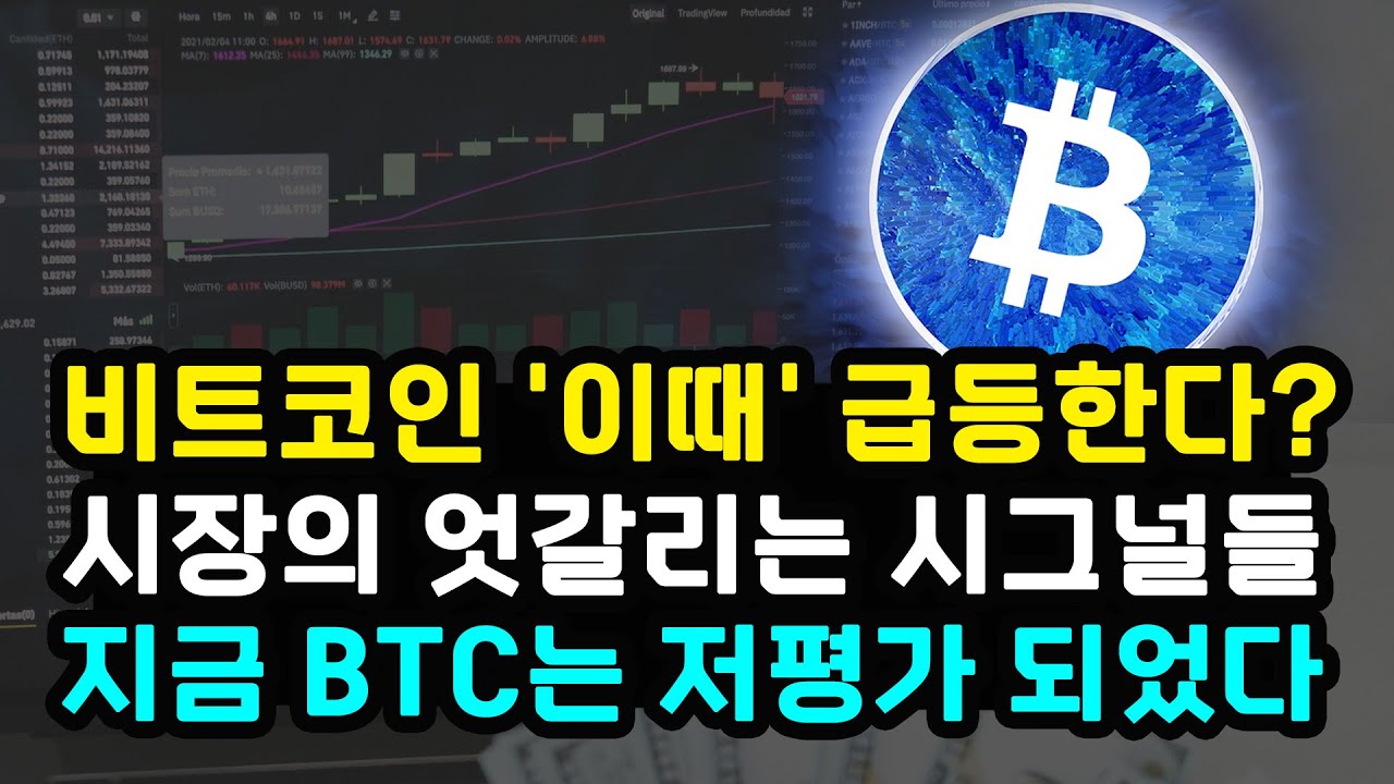 비트코인 엇갈리는 시그널 이때 반등한다? ETF 효과는 언제 / 선물 시장 강세 베팅 채굴자 물량 매도 / 리플 이더리움 솔라나