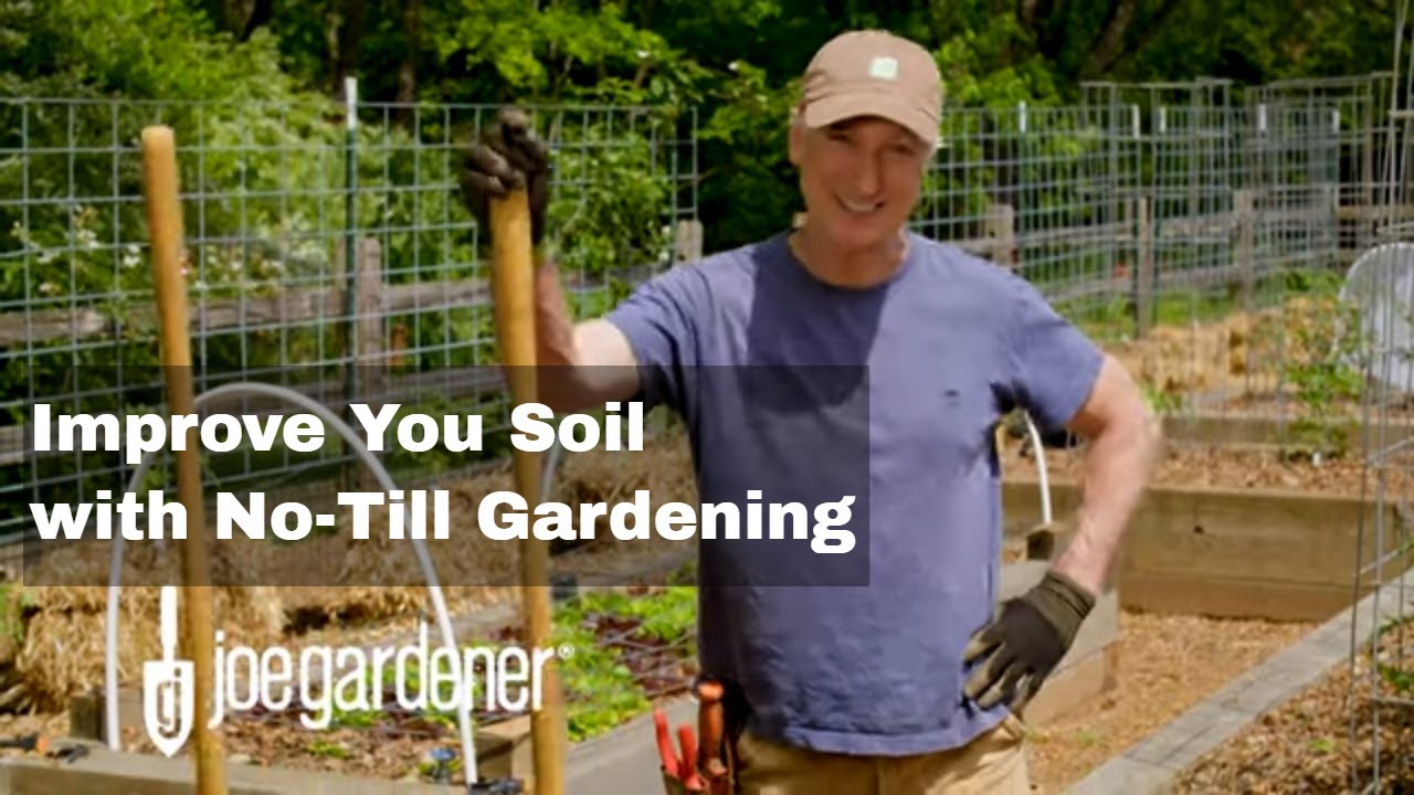 How To Open Up and Improve Your Soil With No-Till Gardening
