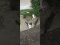 Столовка у вокзала.