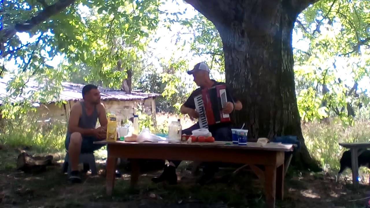 tianetis raioni orxevi