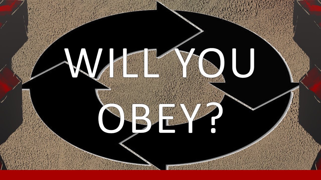 Will You Obey YouTube will-you-obey-youtube