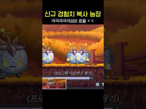 메이플 경험치 <strong>복사</strong> 농장이 진화했습니다ㄷㄷㄷ #shorts