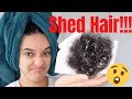 Knotless Braid Takedown & After Care! Shedding & Trim! | Natural Hair | AbbieCurls