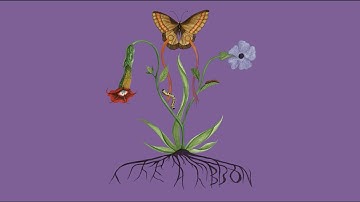 John Glacier - Fly With Me