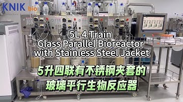 5L 4 Train Glass Parallel Bioreactor with Stainless Steel Jacket #fermenter #bioreactor #centrifuge