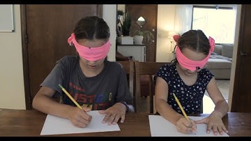 Blindfolded Drawing Challenge (Cait Got PRANKED!)