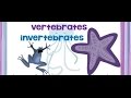 Invertebrates and Human Anatomy