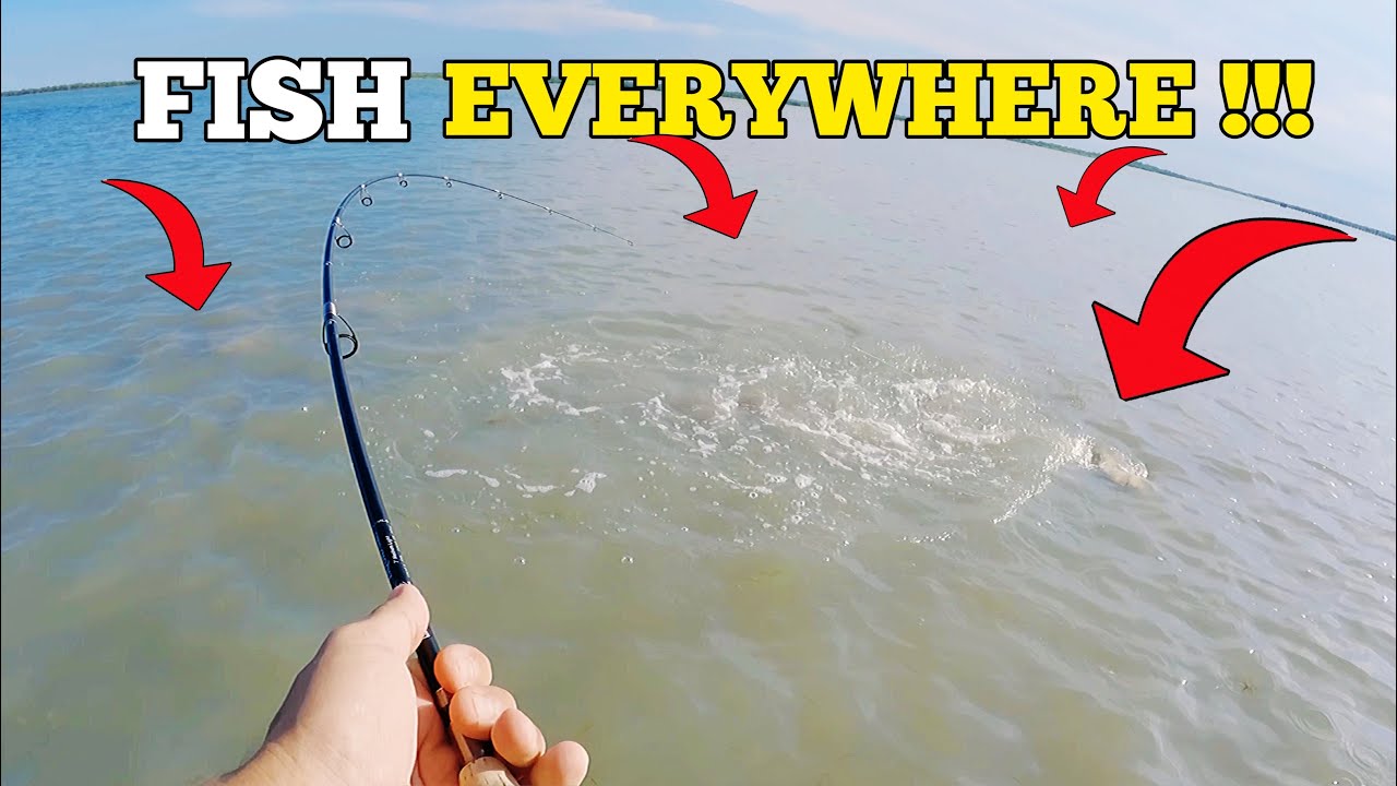 This Place was LOADED with TAILING Fish - YouTube