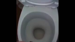 bro trying to take a piss in the toilet 💀 #shorts #memes