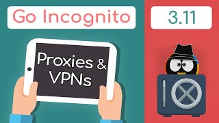 Proxies & VPNs - Are They Good For Privacy? | Go Incognito 3.11