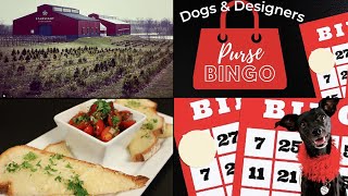 Thur LIVEstream: Craft Spirits, Classic Pies, and Canine Companions: A Journey Through Local Gems