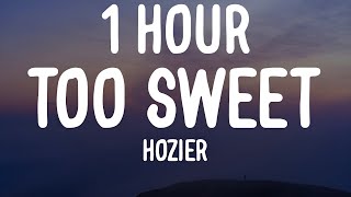Download Lagu Hozier - Too Sweet (1 HOUR/Lyrics) MP3 Download Lagu Hozier - Too Sweet (1 HOUR/Lyrics) MP3