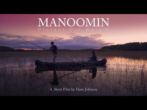 Manoomin - Protect Our Waters