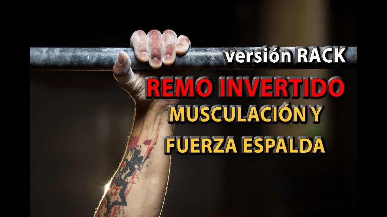remo+barra+libre+supino